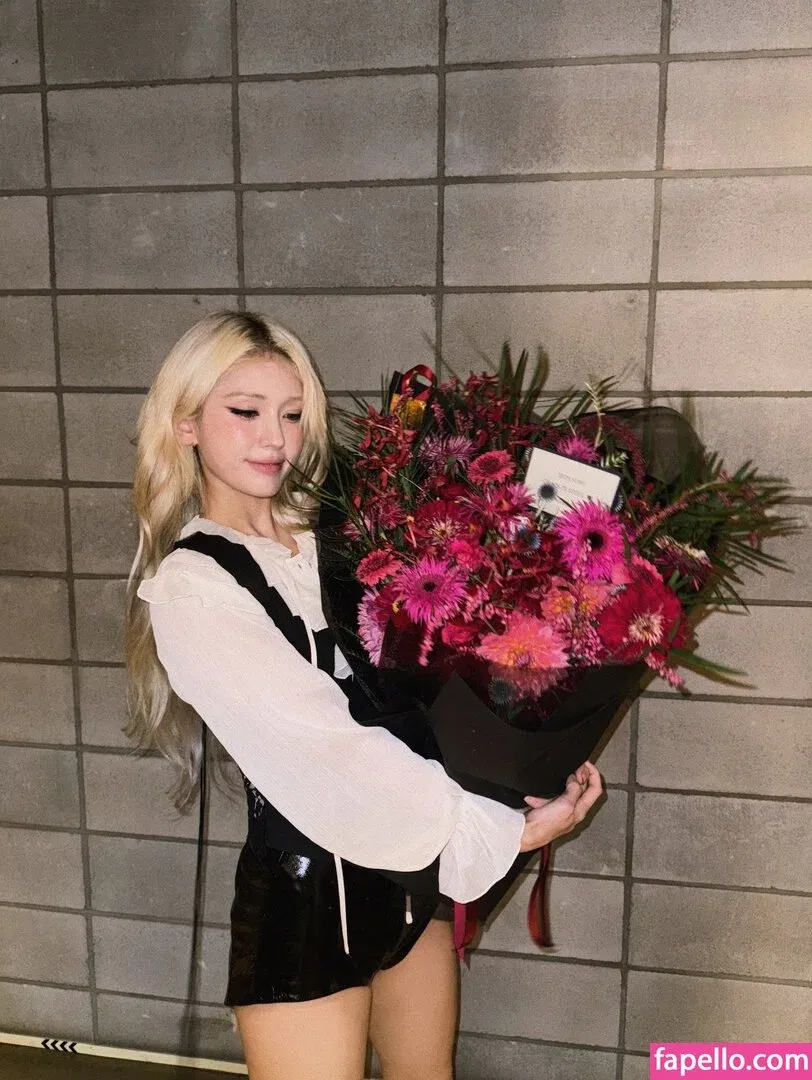 Jeon Somi Onlyfans Photo Gallery 