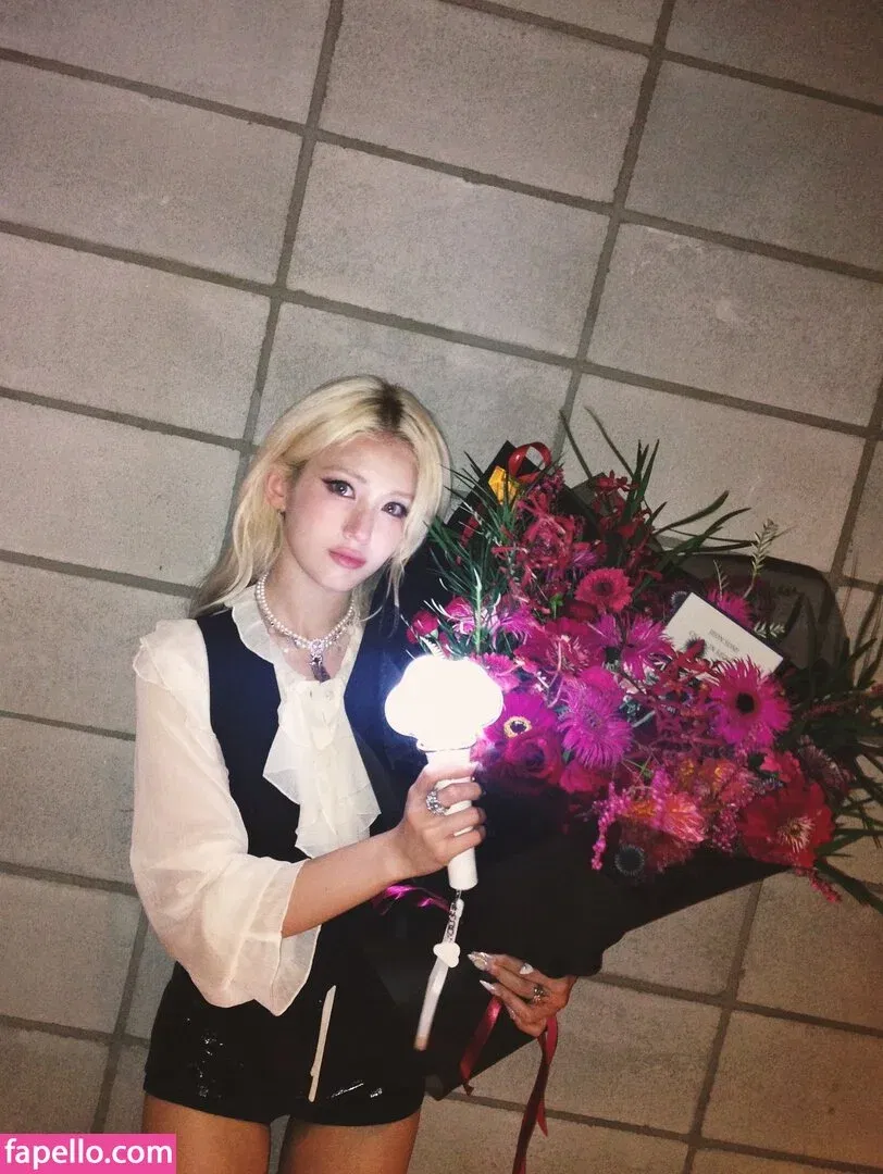 Jeon Somi Onlyfans Photo Gallery 