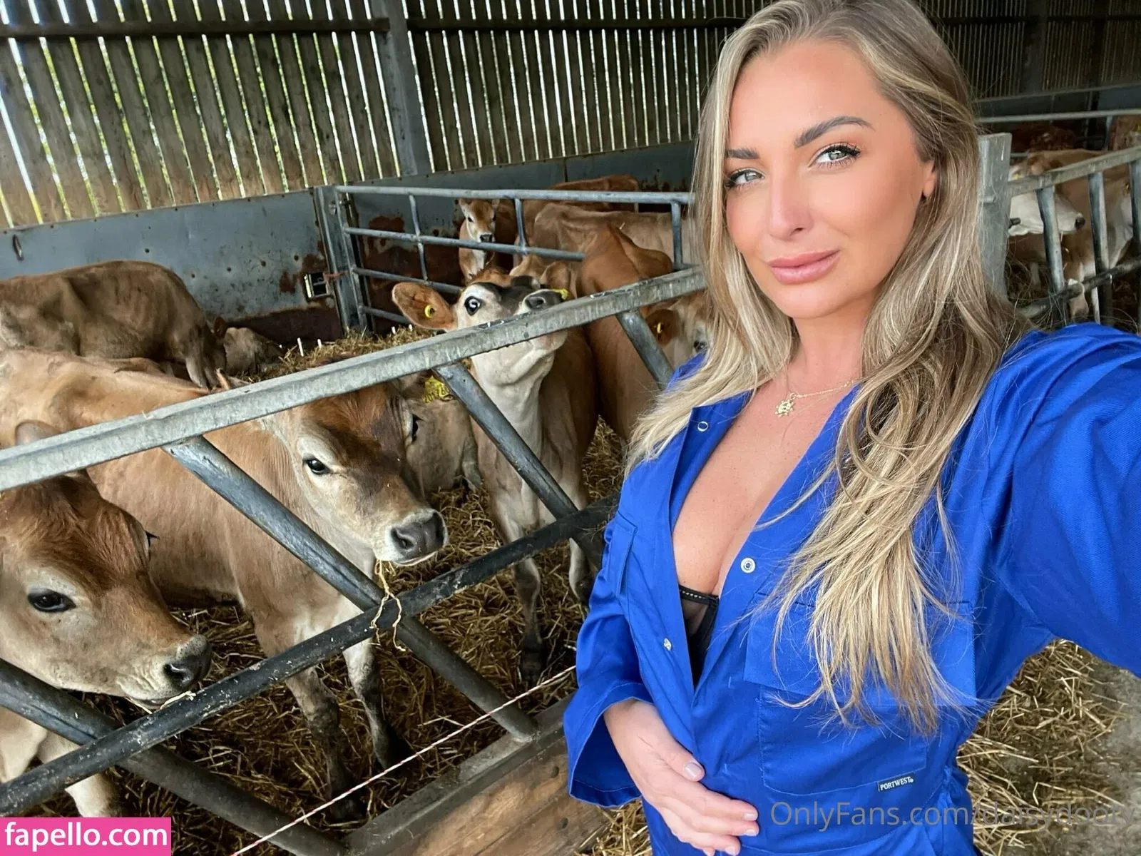 daisydootv Onlyfans Photo Gallery 