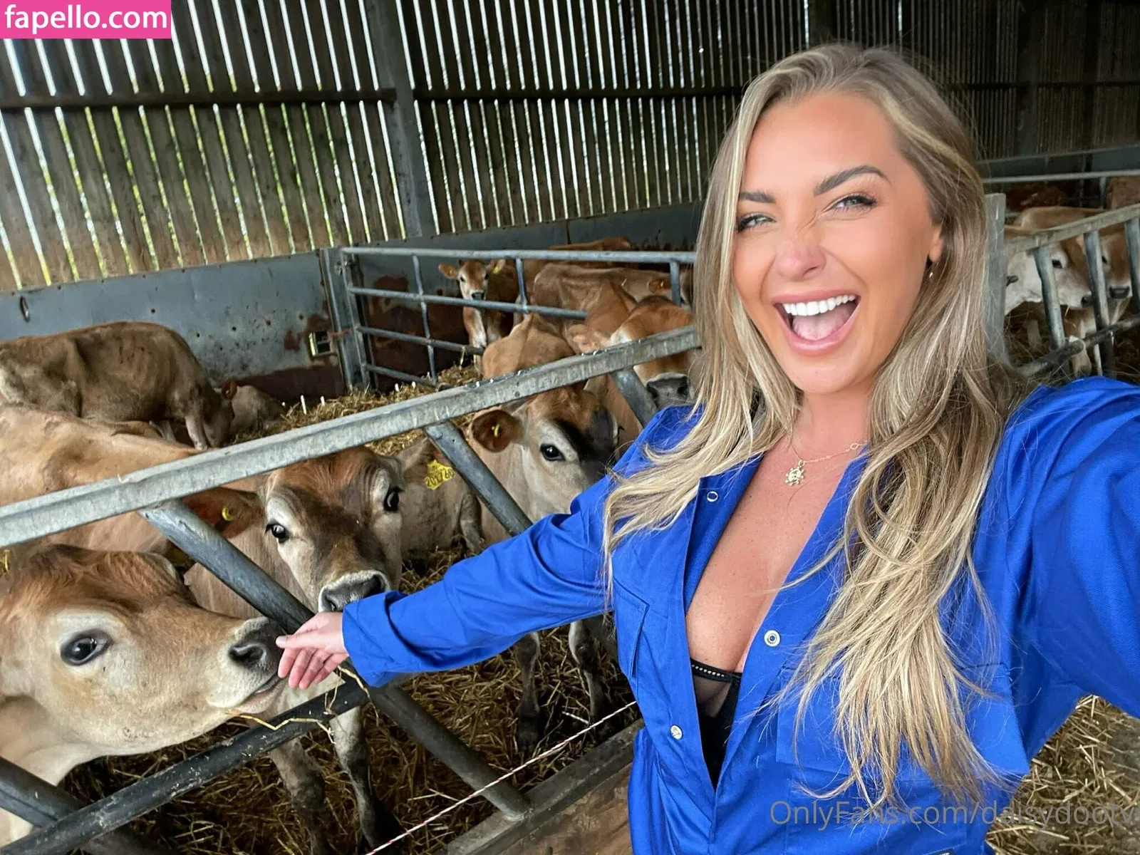 daisydootv Onlyfans Photo Gallery 