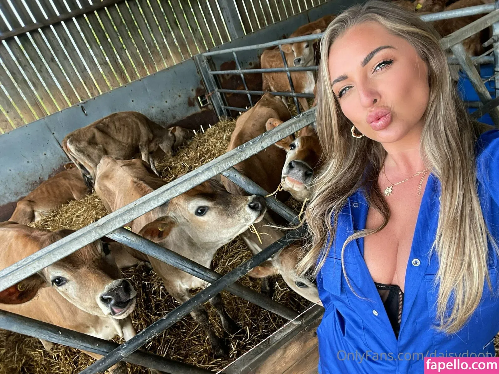 daisydootv Onlyfans Photo Gallery 