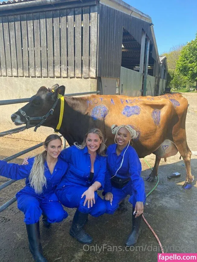 daisydootv Onlyfans Photo Gallery 