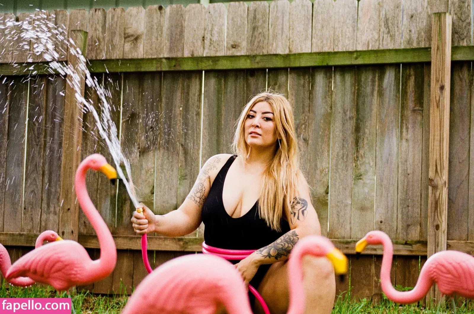 Ashlynn Arias Onlyfans Photo Gallery 