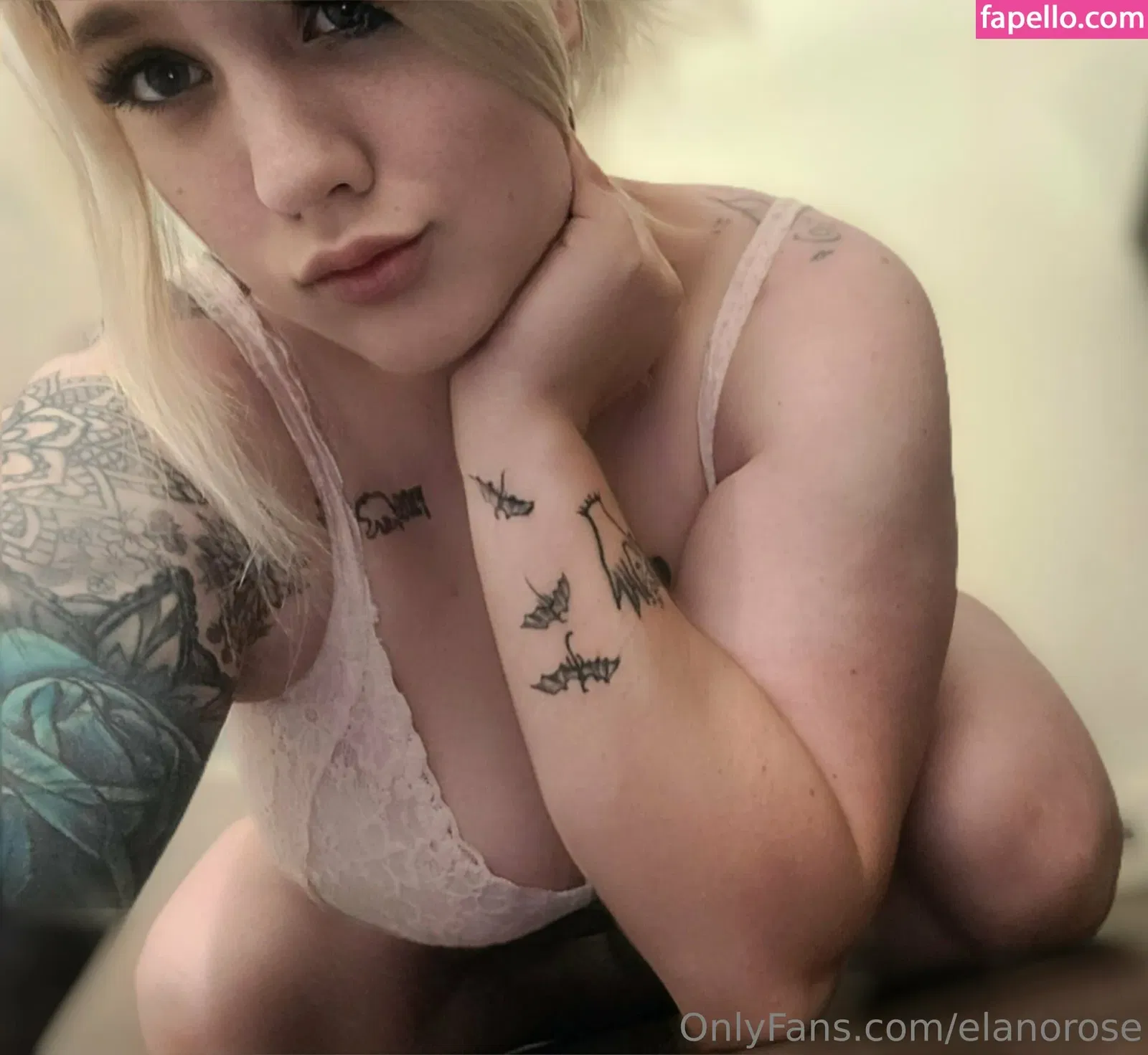 elanorose Onlyfans Photo Gallery 