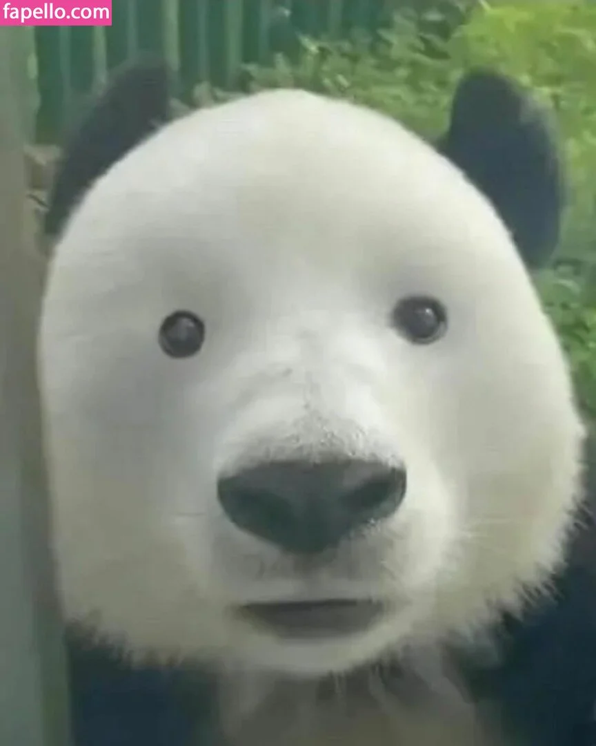 lilibet_silllly Onlyfans Photo Gallery 