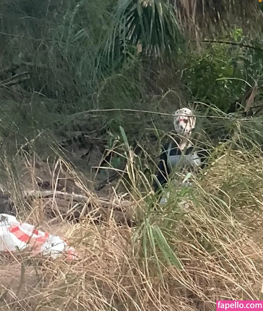 lilibet_silllly Onlyfans Photo Gallery 