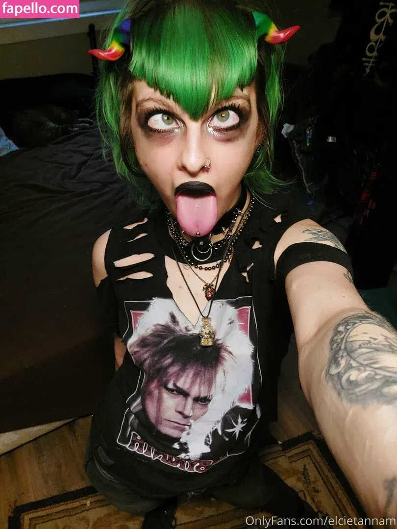 elcietannam Onlyfans Photo Gallery 