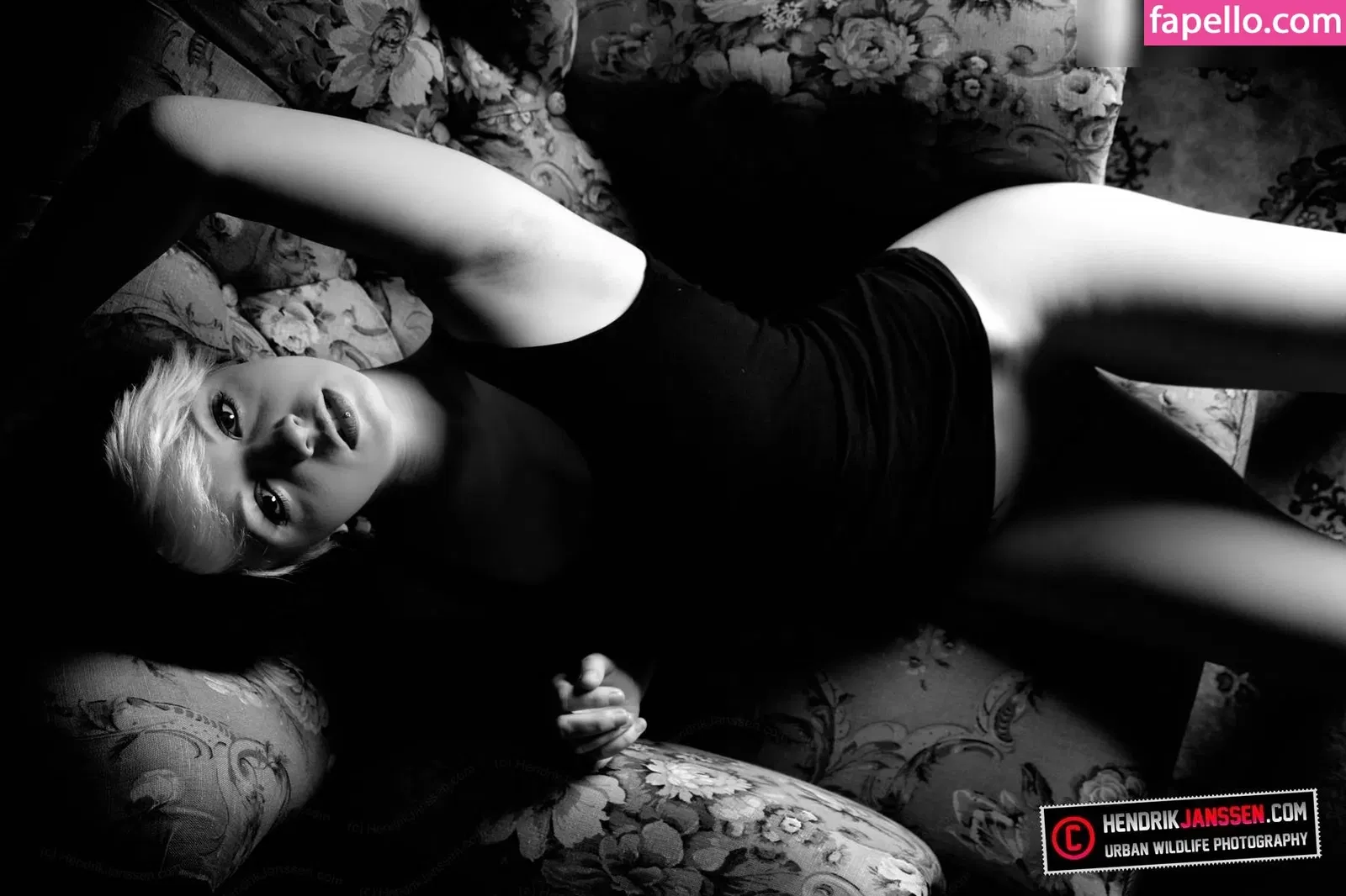 Jottdot Onlyfans Photo Gallery 