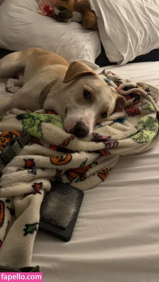 glizzycatcher Onlyfans Photo Gallery 