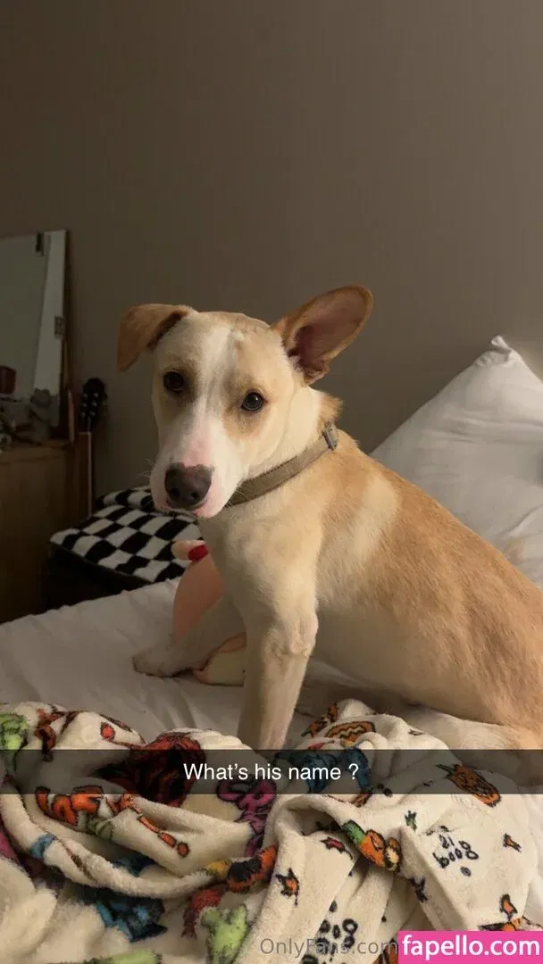 glizzycatcher Onlyfans Photo Gallery 