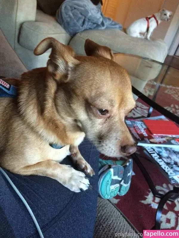 Elle The Belle Onlyfans Photo Gallery 