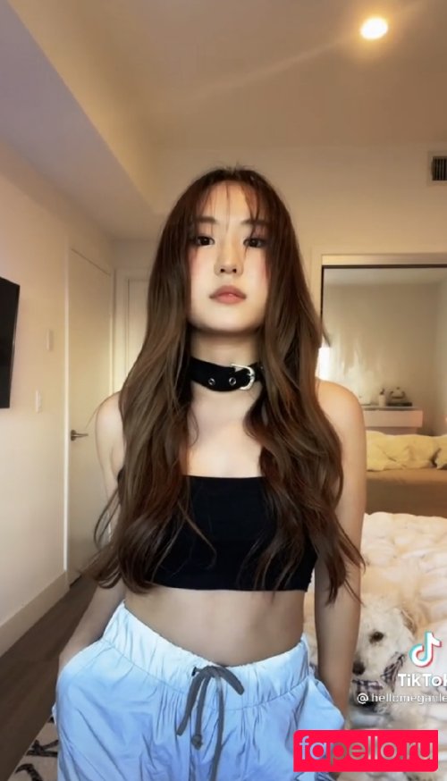 hellomeganlee Nude Onlyfans Photo 31