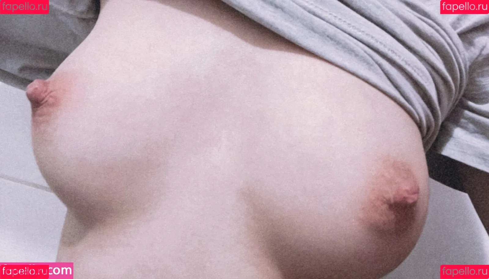 Julia Macedo Onlyfans Photo Gallery 