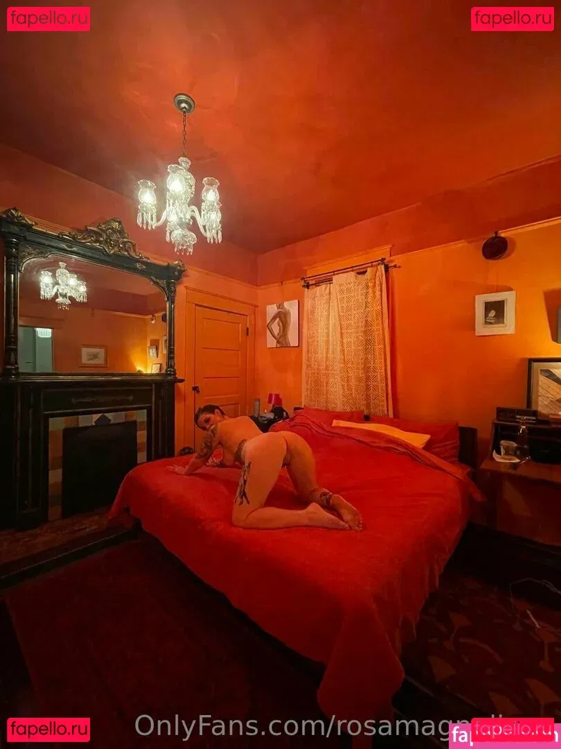 rosamagnoliaxo Onlyfans Photo Gallery 