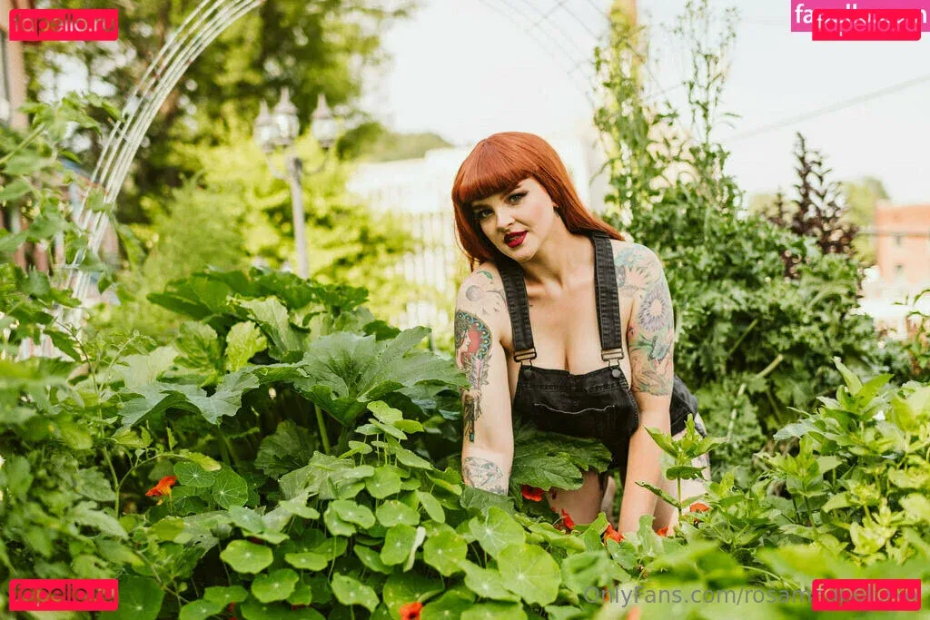 rosamagnoliaxo Onlyfans Photo Gallery 