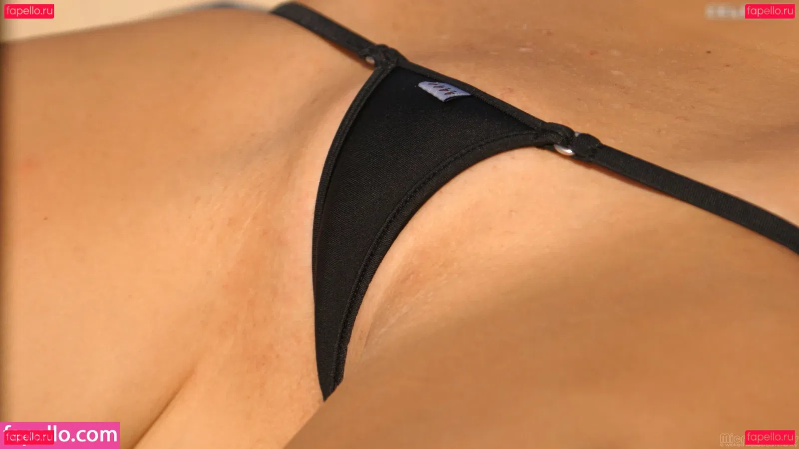 Microminimus & Wicked Weasel Models Onlyfans Photo Gallery 