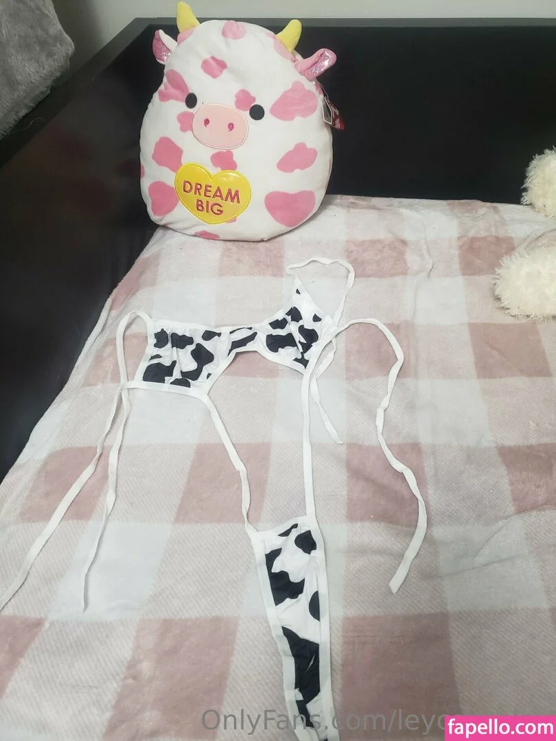 Leycantplay Onlyfans Photo Gallery 