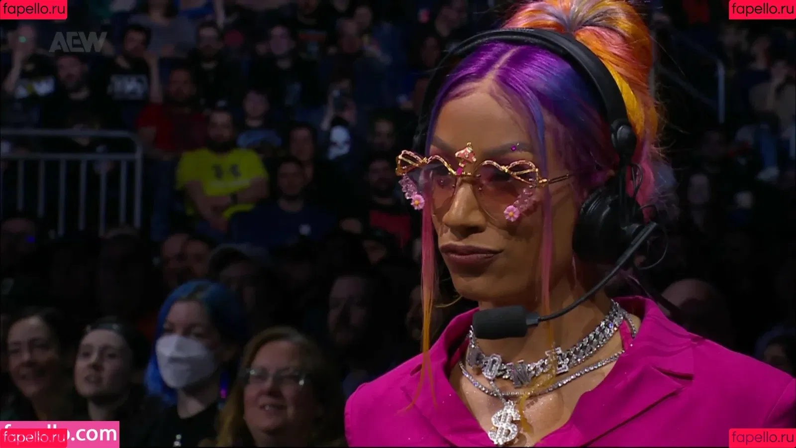 Sasha Banks Onlyfans Photo Gallery 