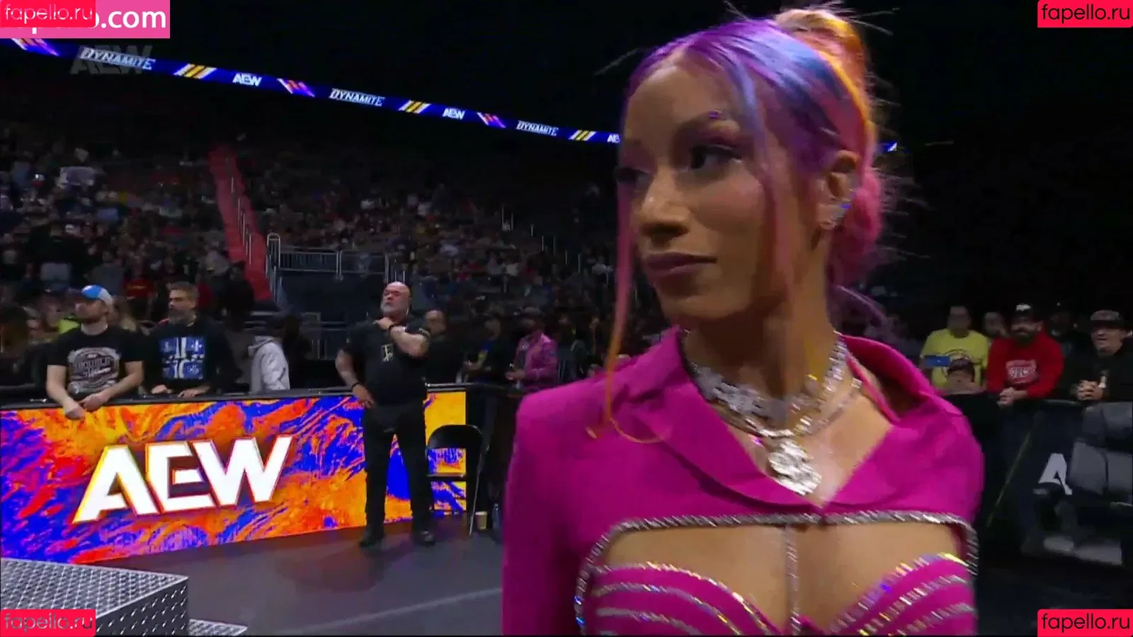 Sasha Banks Onlyfans Photo Gallery 