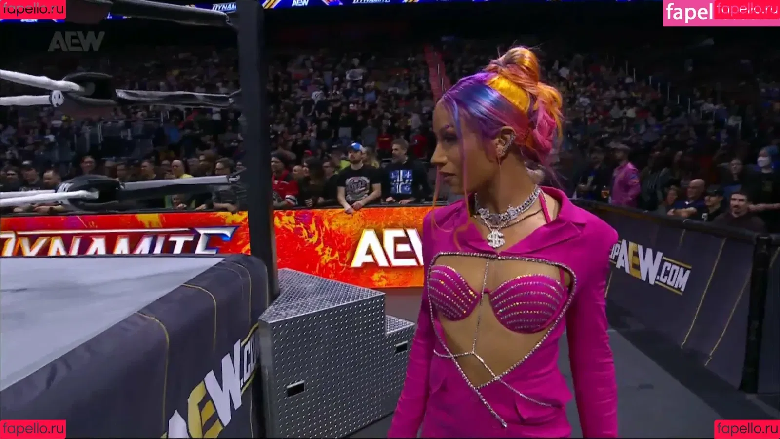 Sasha Banks Onlyfans Photo Gallery 
