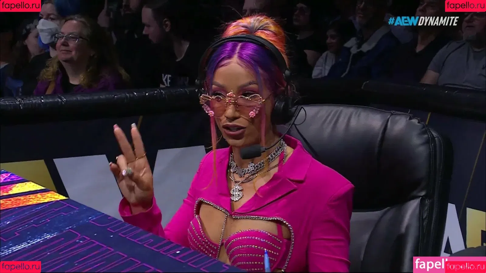 Sasha Banks Onlyfans Photo Gallery 