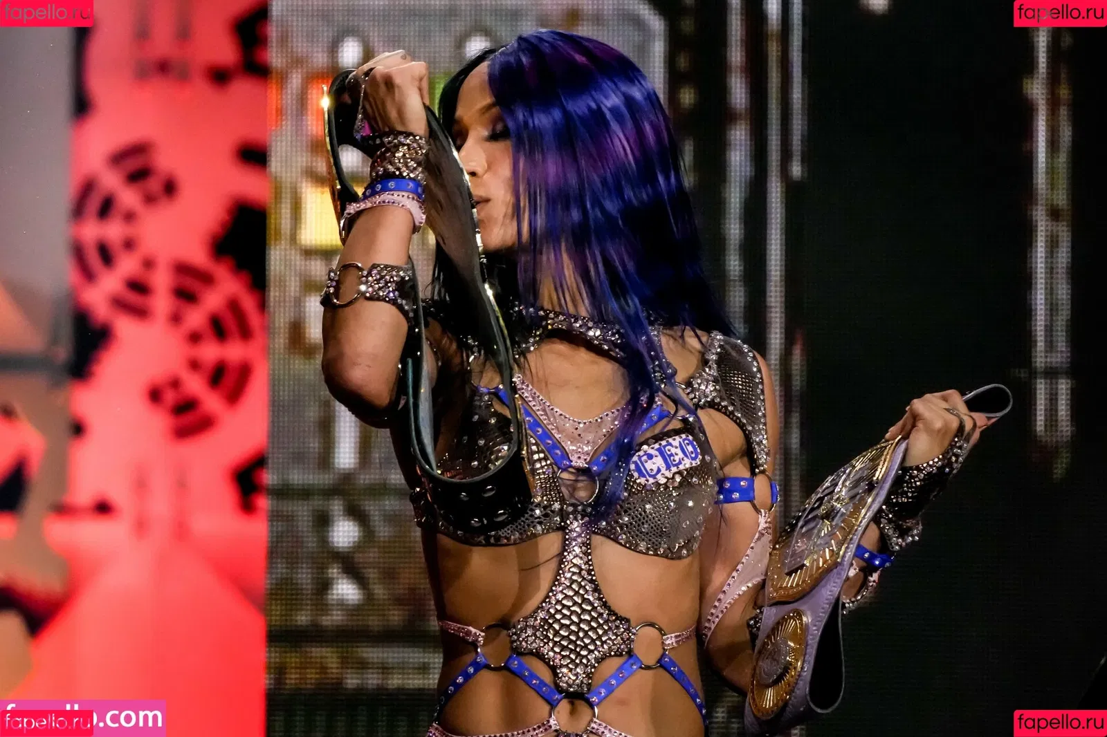 Sasha Banks Onlyfans Photo Gallery 