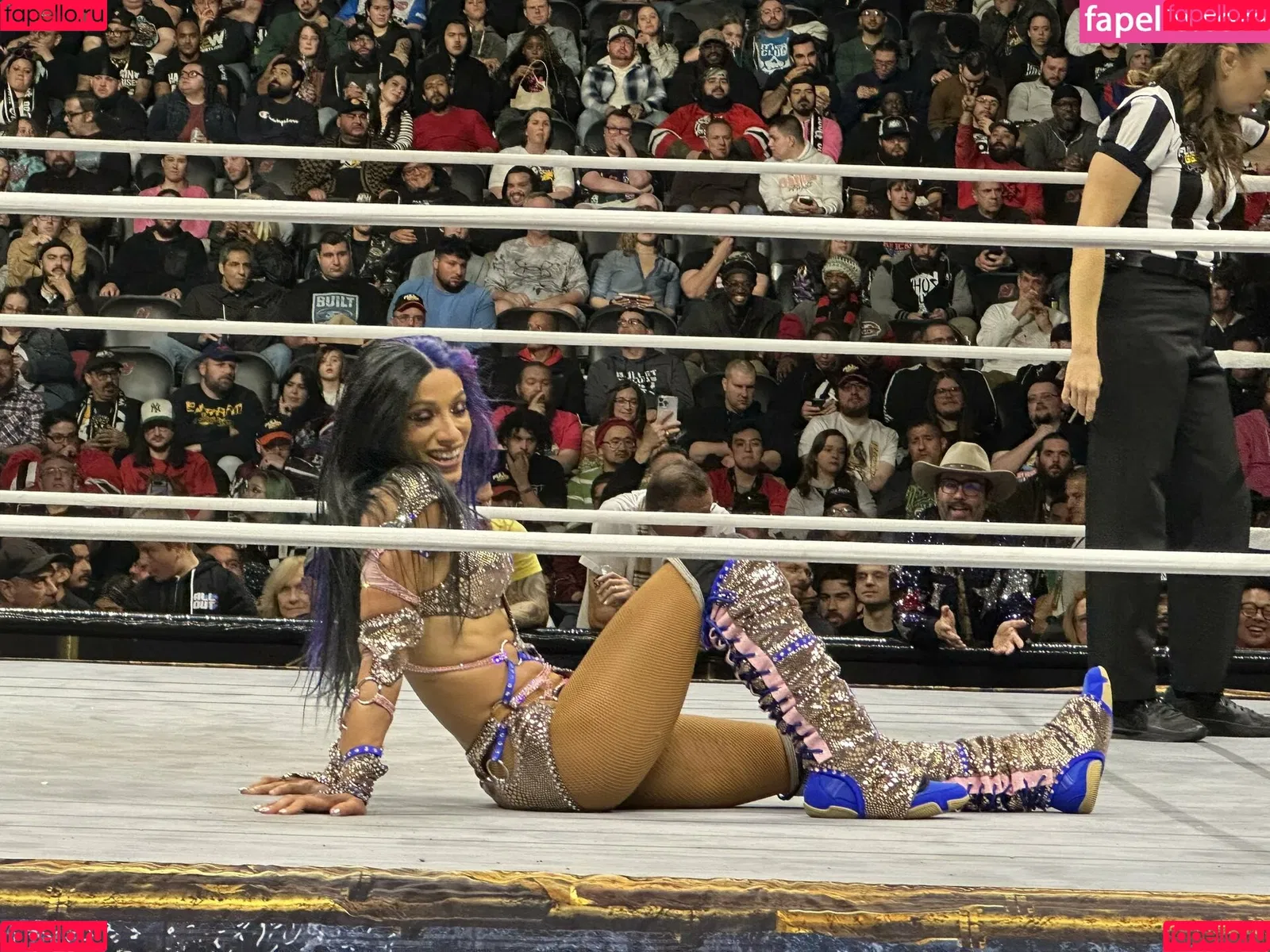 Sasha Banks Onlyfans Photo Gallery 