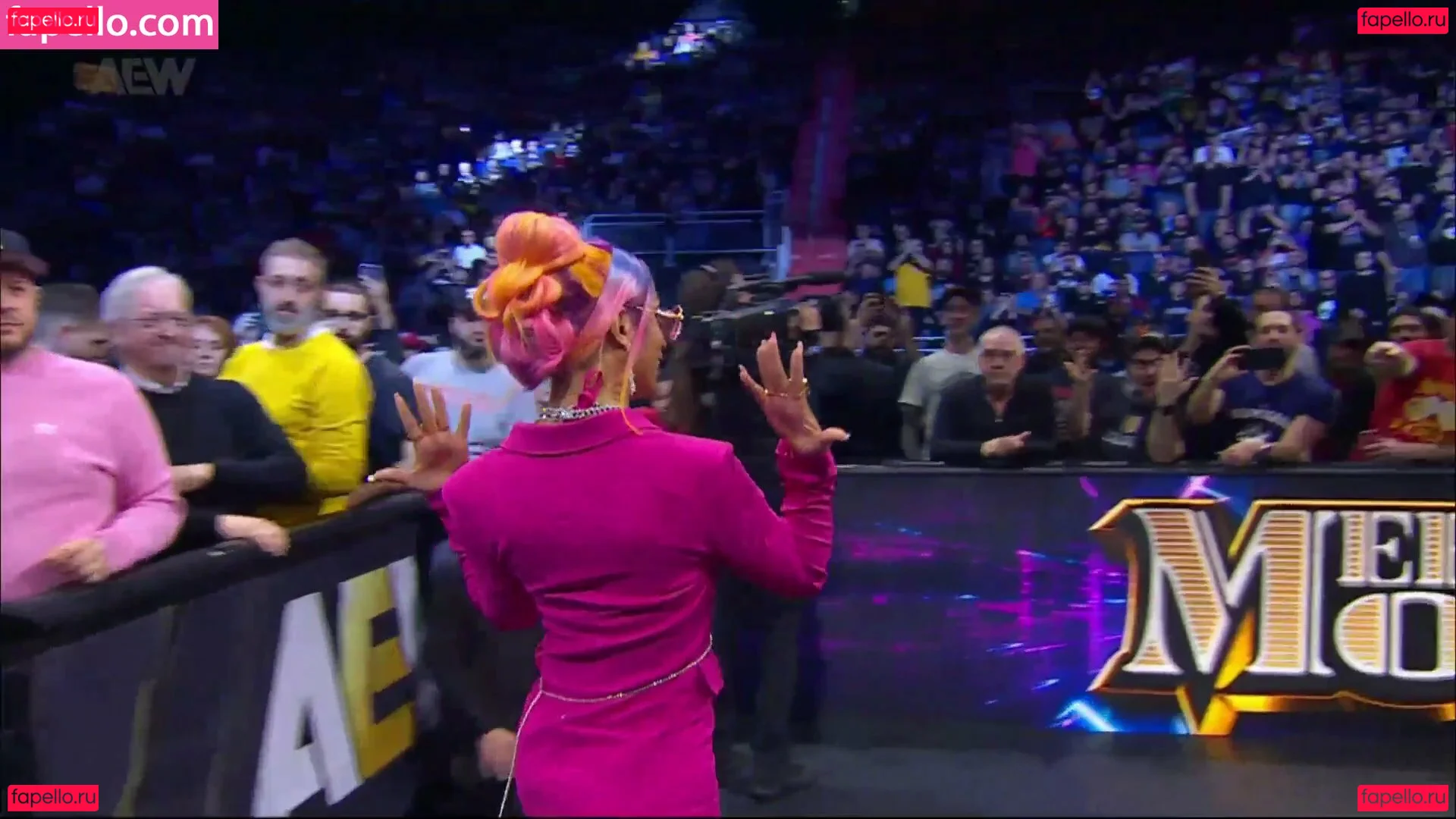 Sasha Banks Onlyfans Photo Gallery 