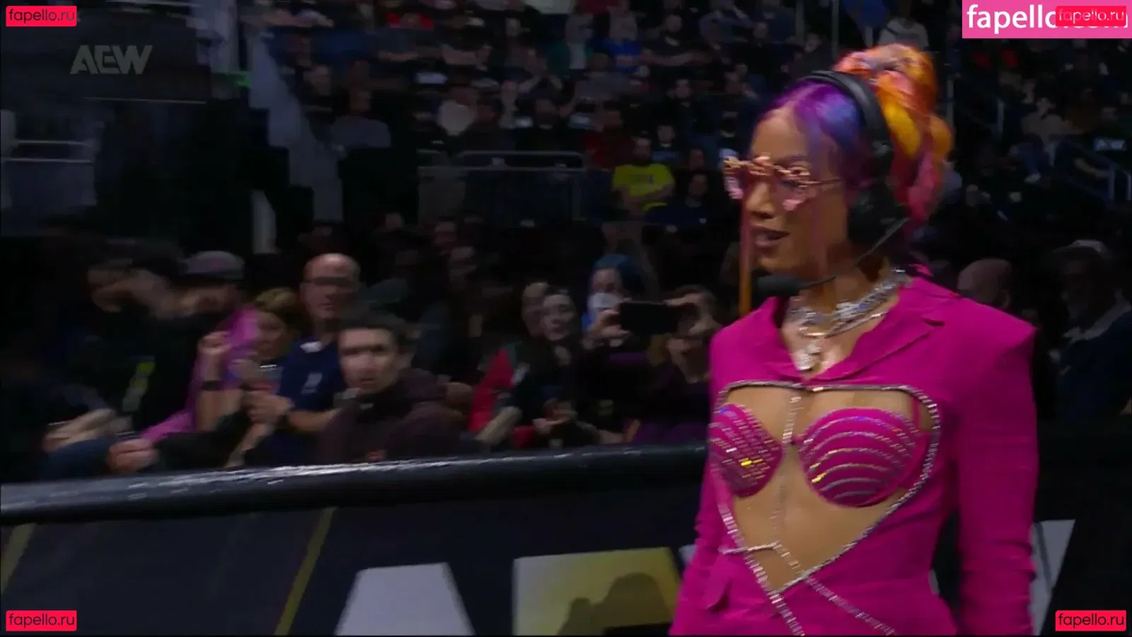 Sasha Banks Onlyfans Photo Gallery 