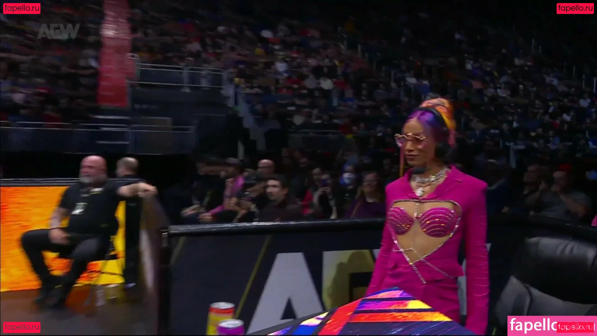 Sasha Banks Onlyfans Photo Gallery 