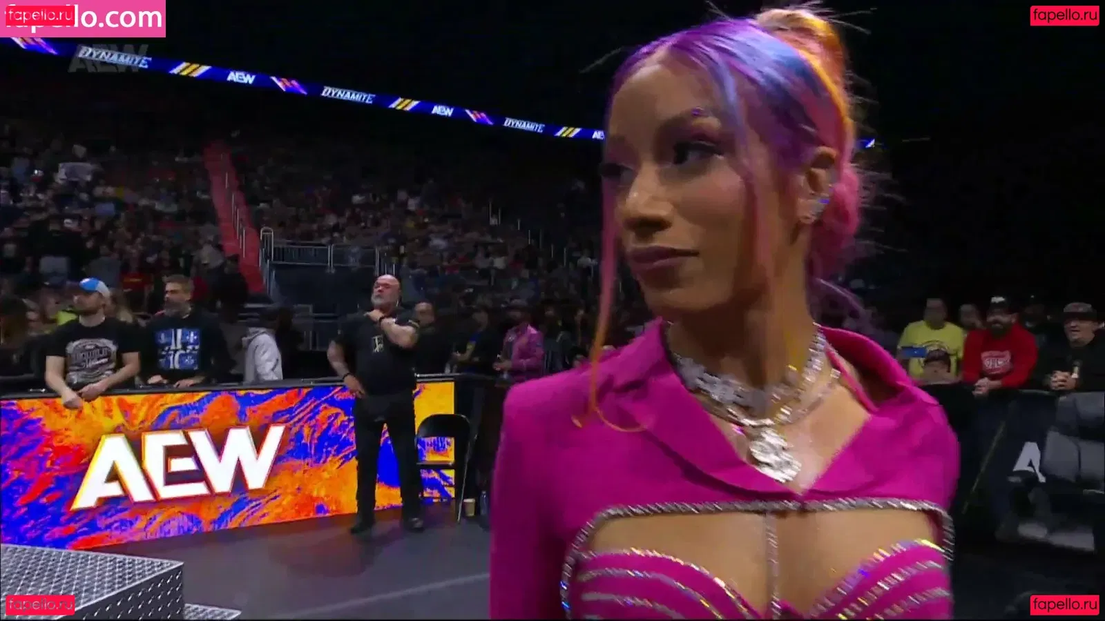 Sasha Banks Onlyfans Photo Gallery 