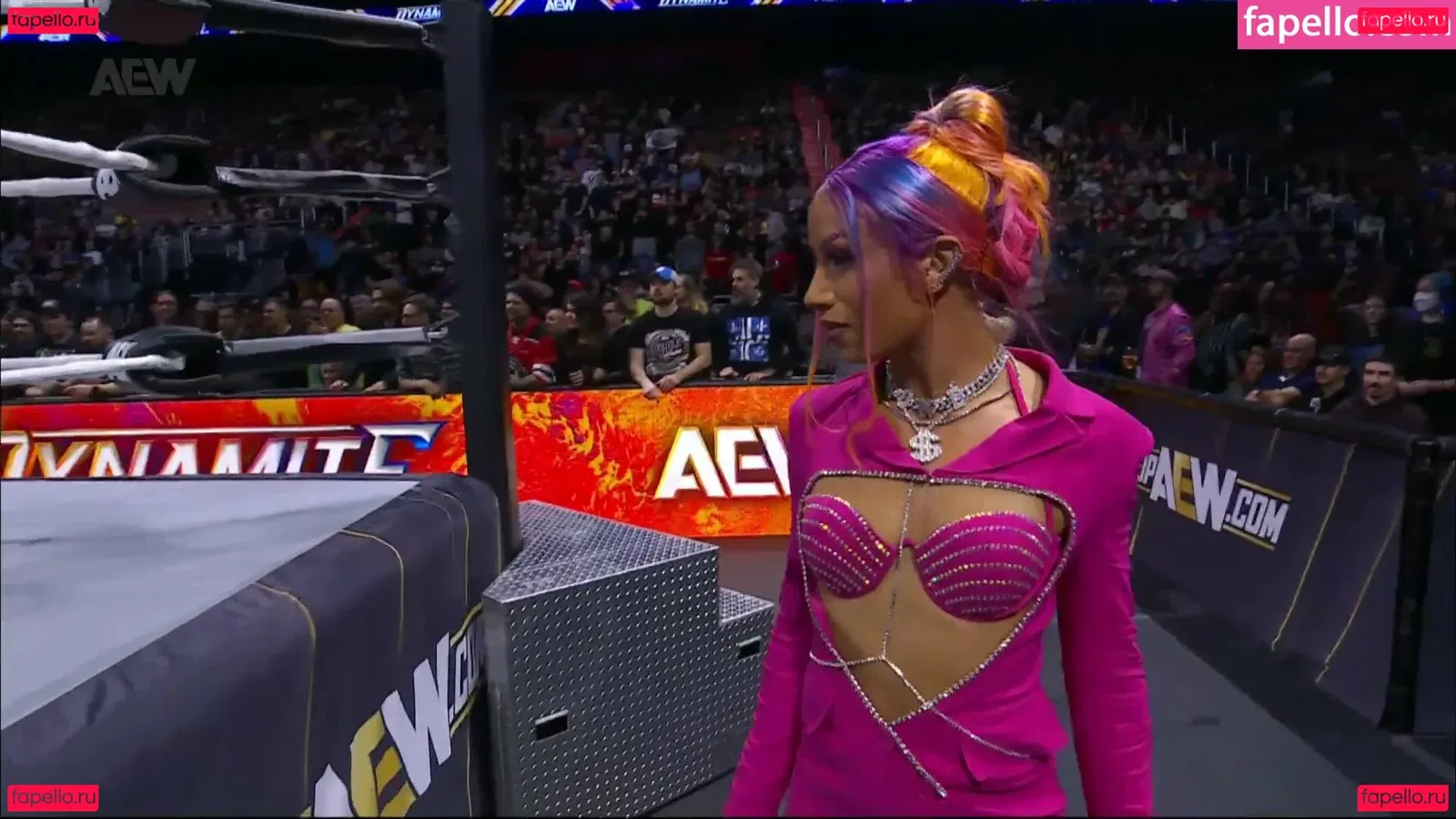 Sasha Banks Onlyfans Photo Gallery 