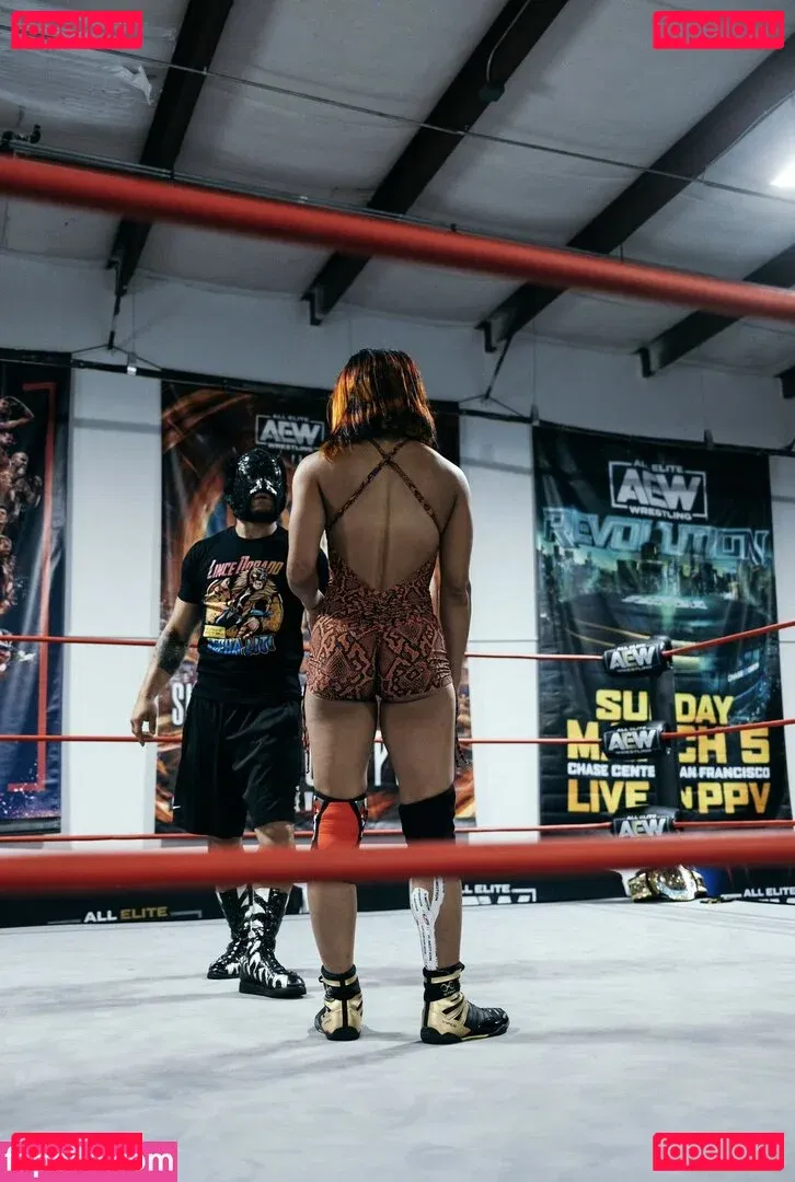 Sasha Banks Onlyfans Photo Gallery 