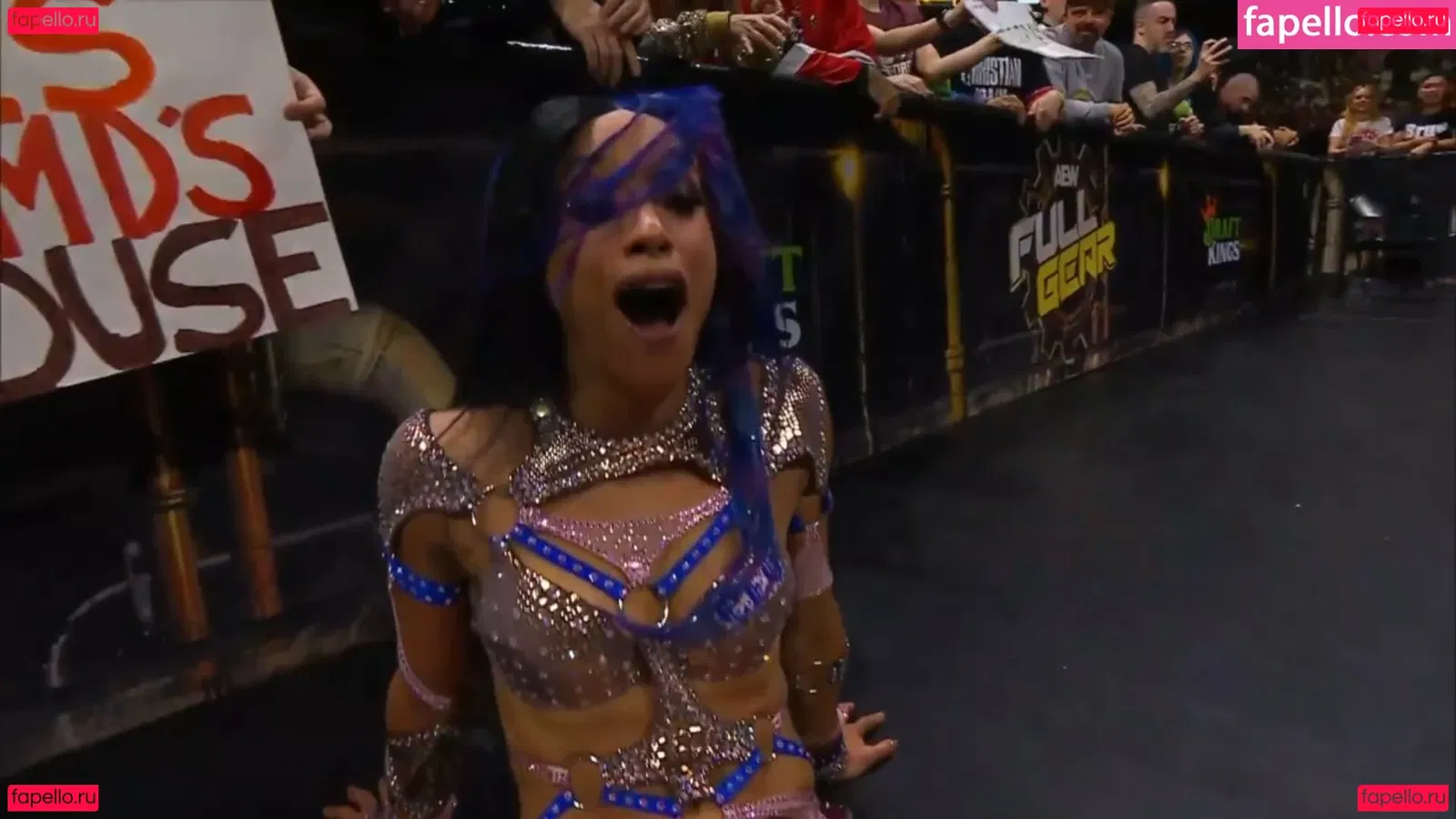 Sasha Banks Onlyfans Photo Gallery 