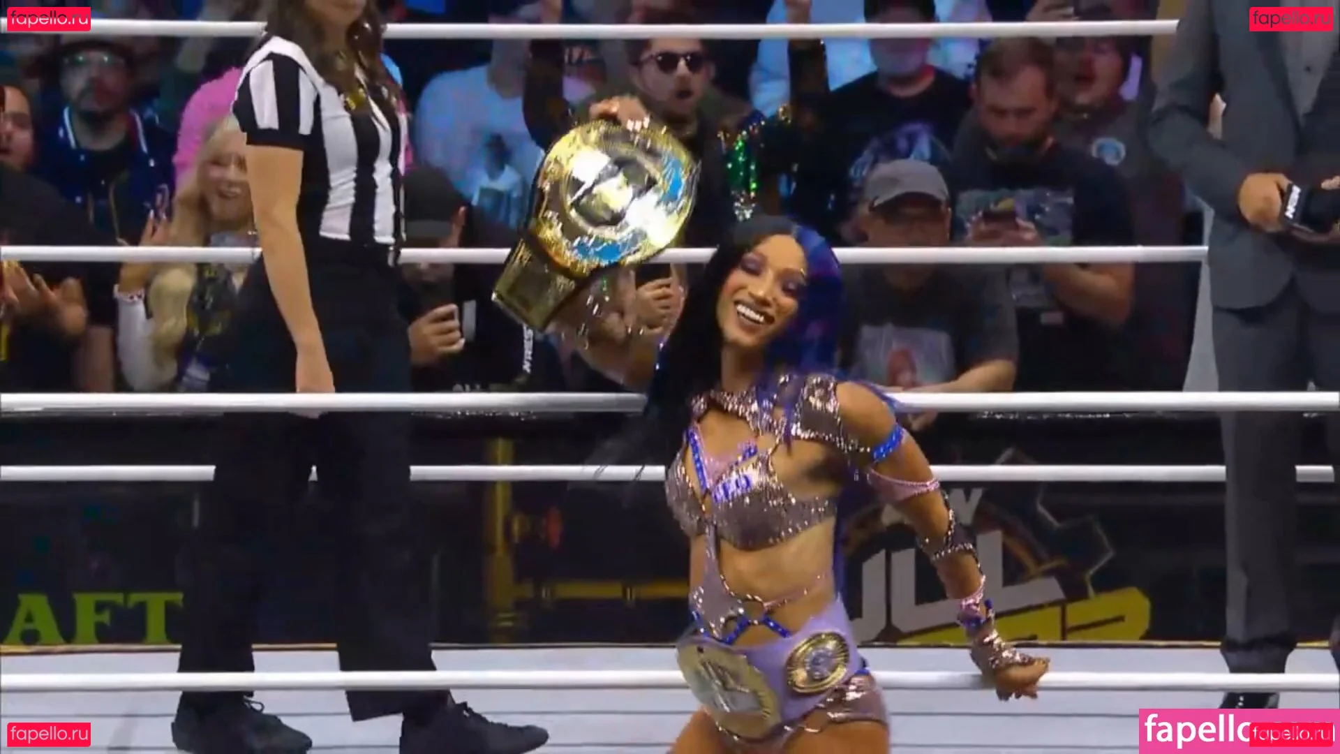 Sasha Banks Onlyfans Photo Gallery 