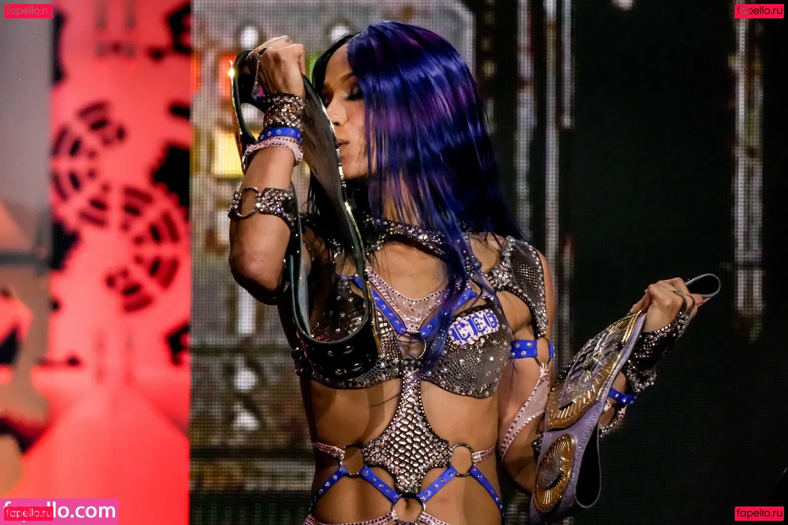 Sasha Banks Onlyfans Photo Gallery 