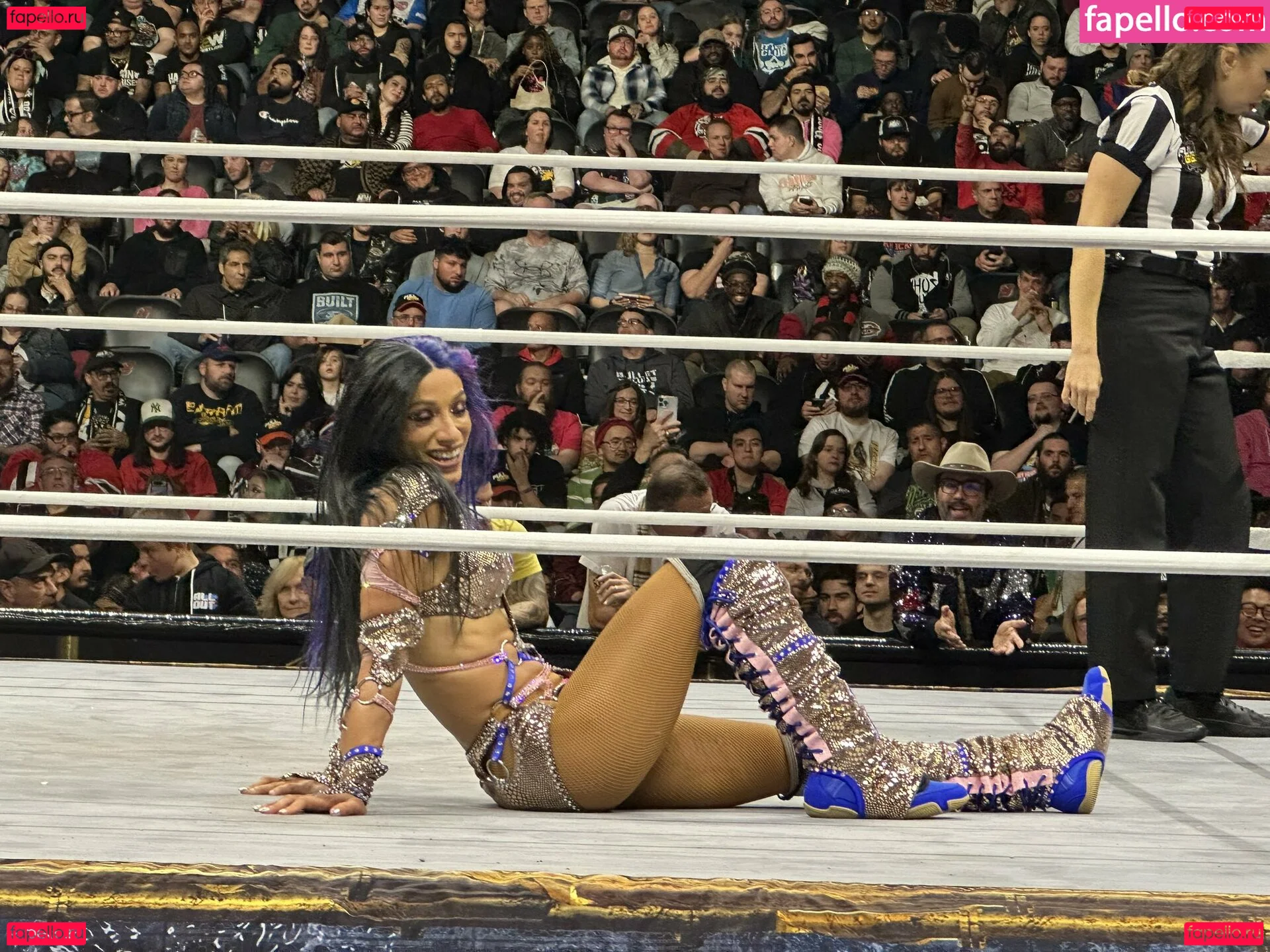 Sasha Banks Onlyfans Photo Gallery 