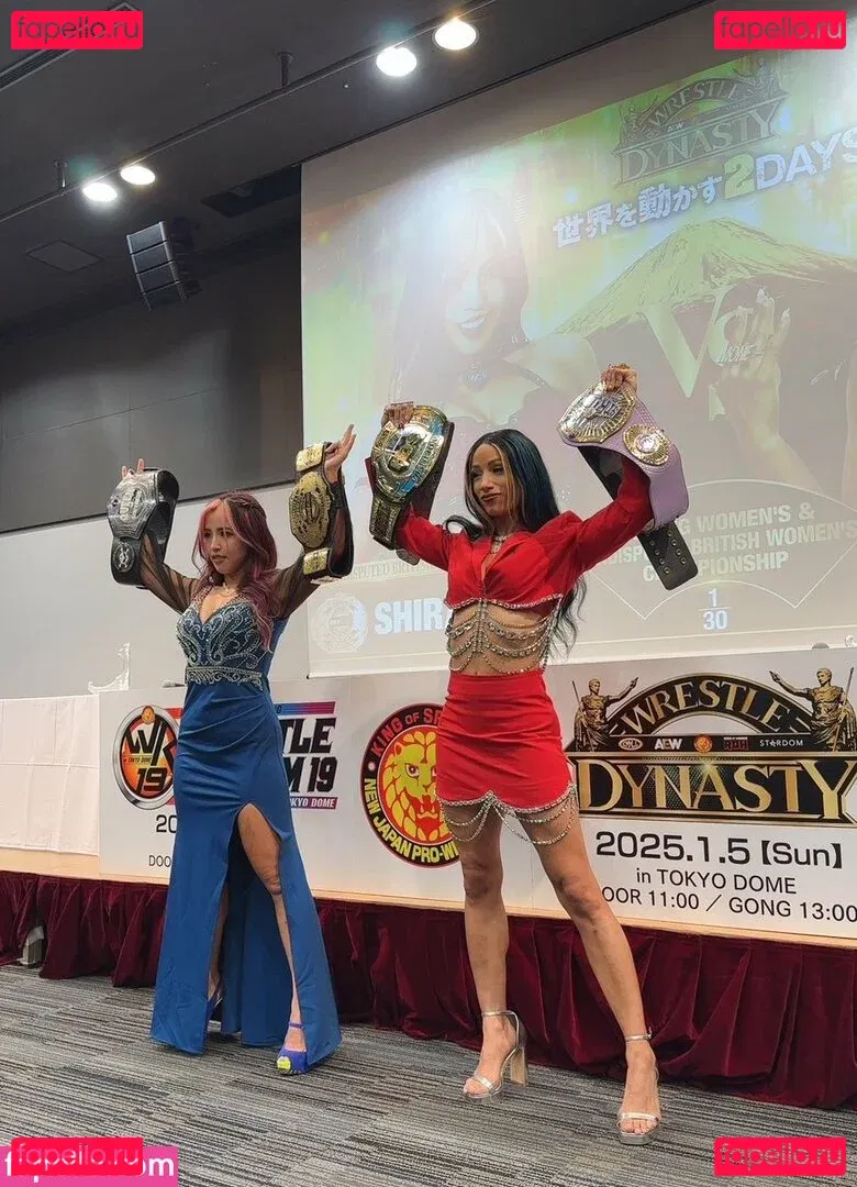 Sasha Banks Onlyfans Photo Gallery 