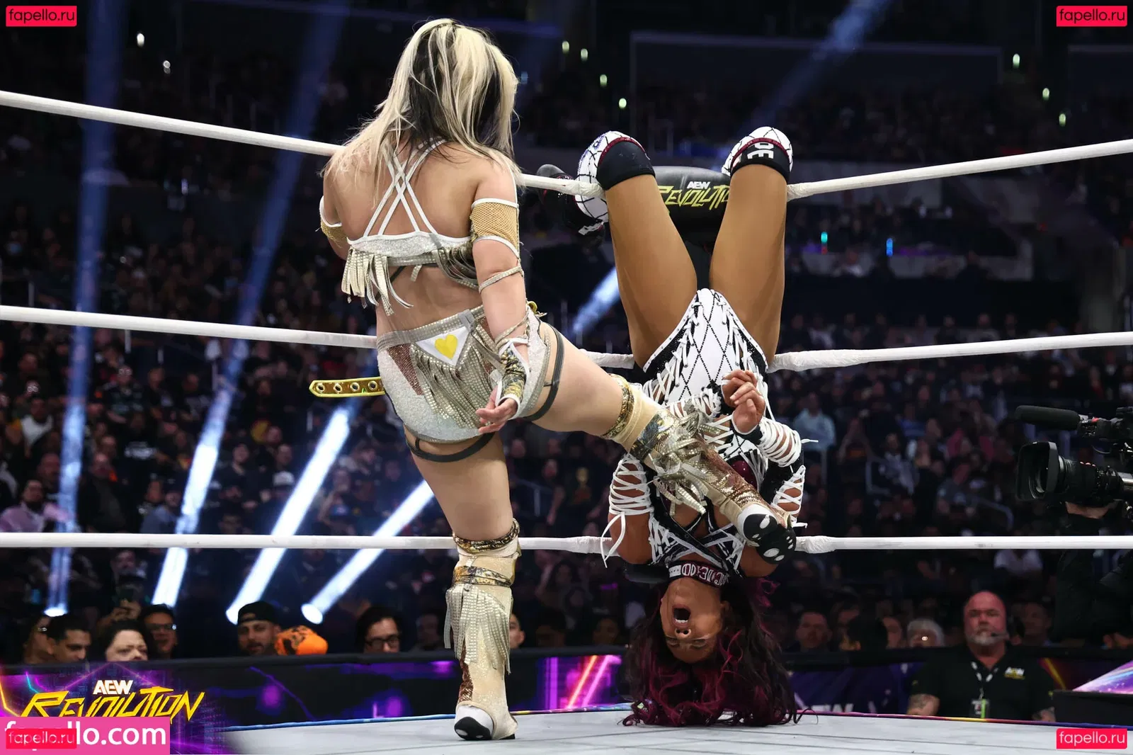 Sasha Banks Onlyfans Photo Gallery 