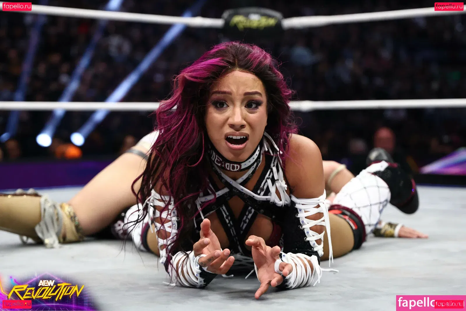 Sasha Banks Onlyfans Photo Gallery 