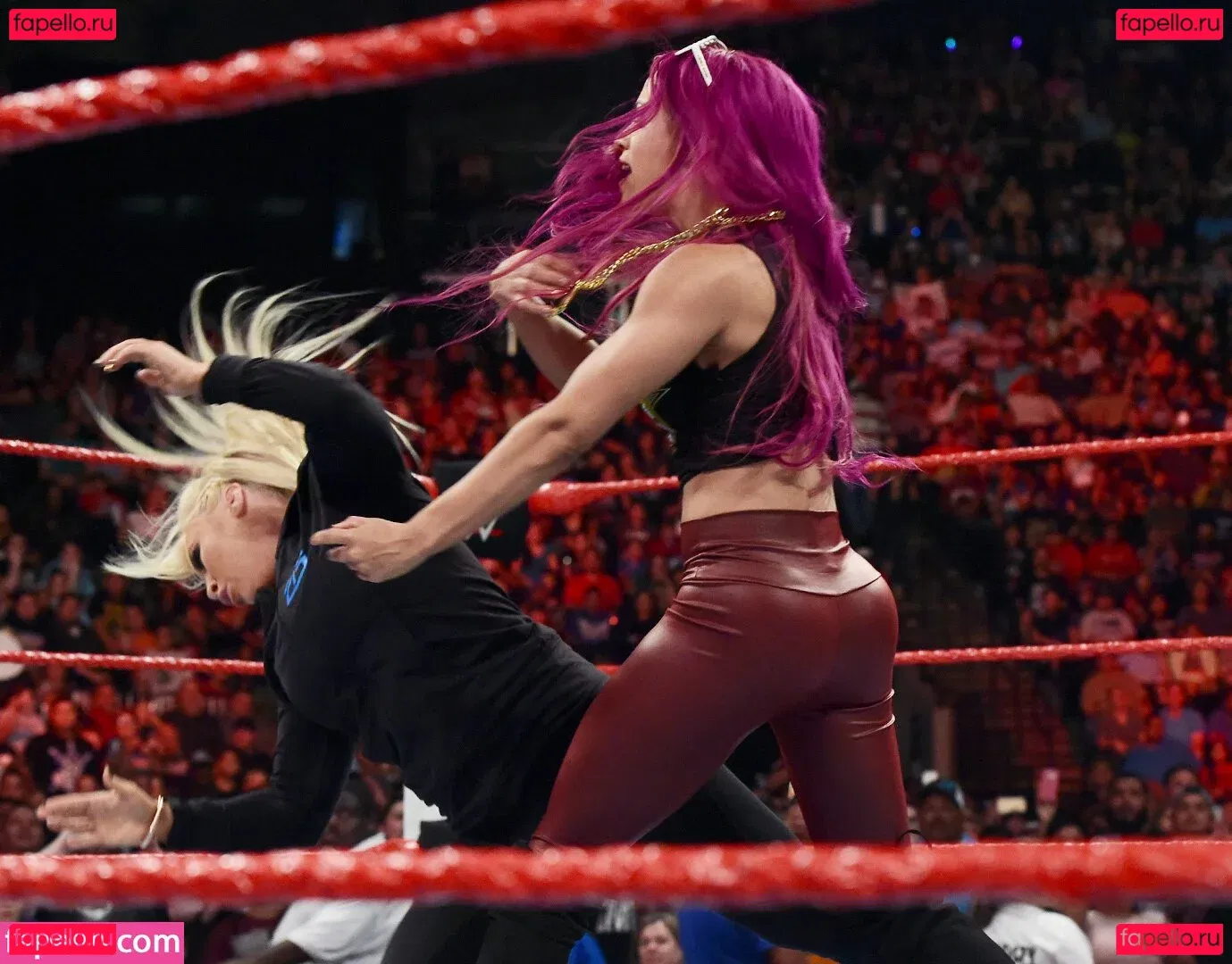 Sasha Banks Onlyfans Photo Gallery 