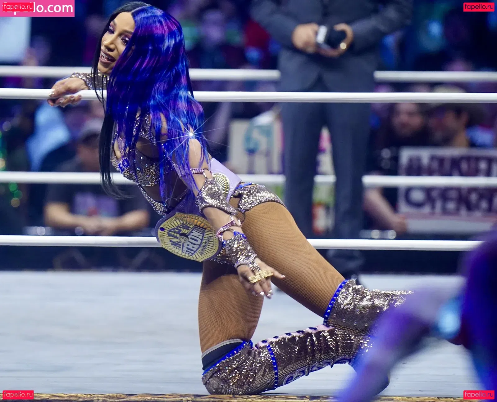 Sasha Banks Onlyfans Photo Gallery 