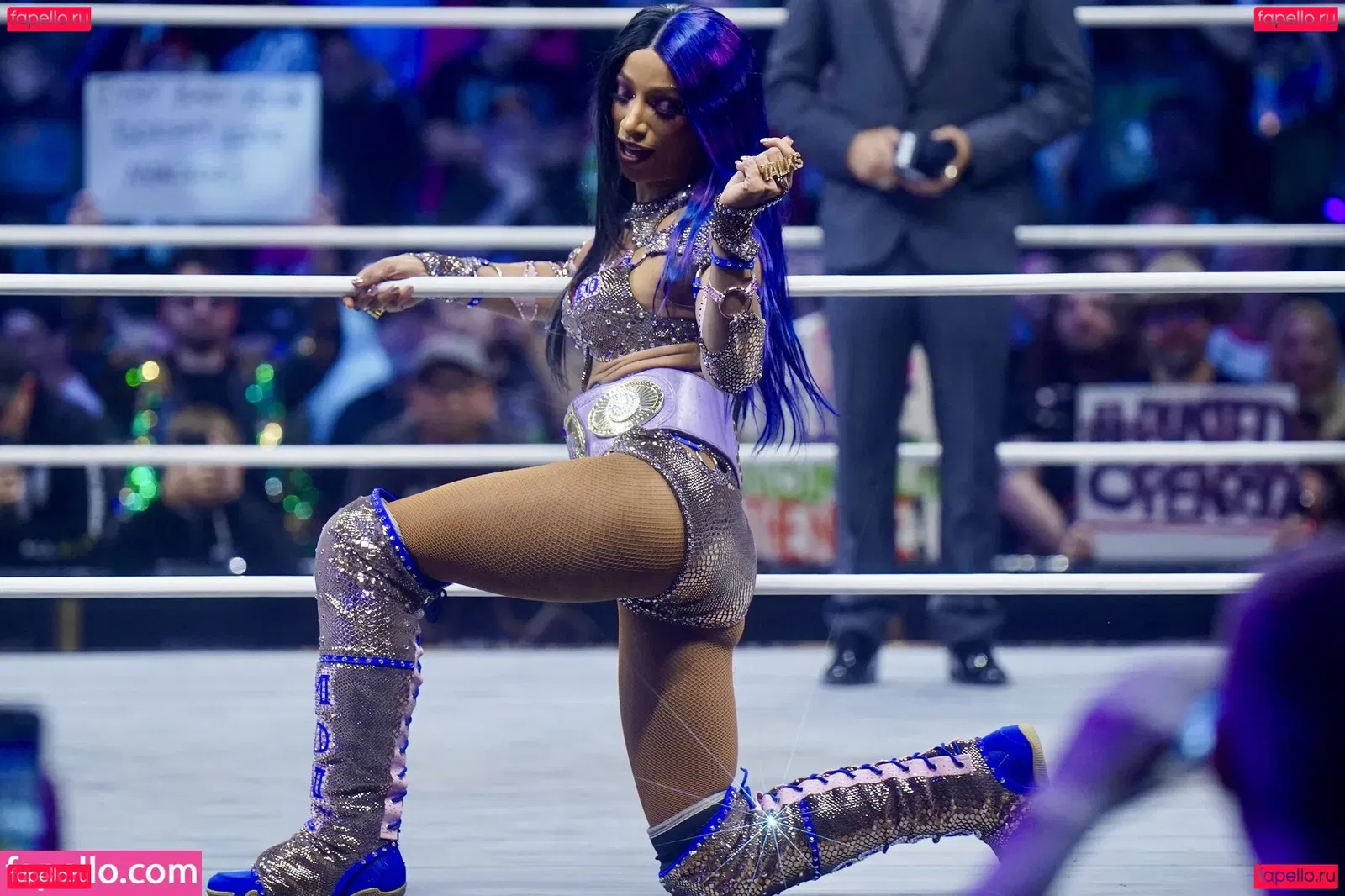 Sasha Banks Onlyfans Photo Gallery 