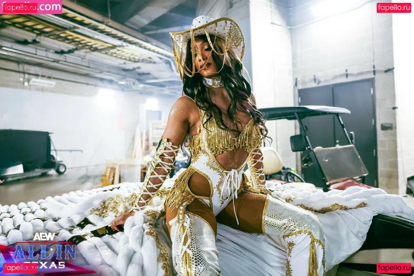 Sasha Banks Onlyfans Photo Gallery 