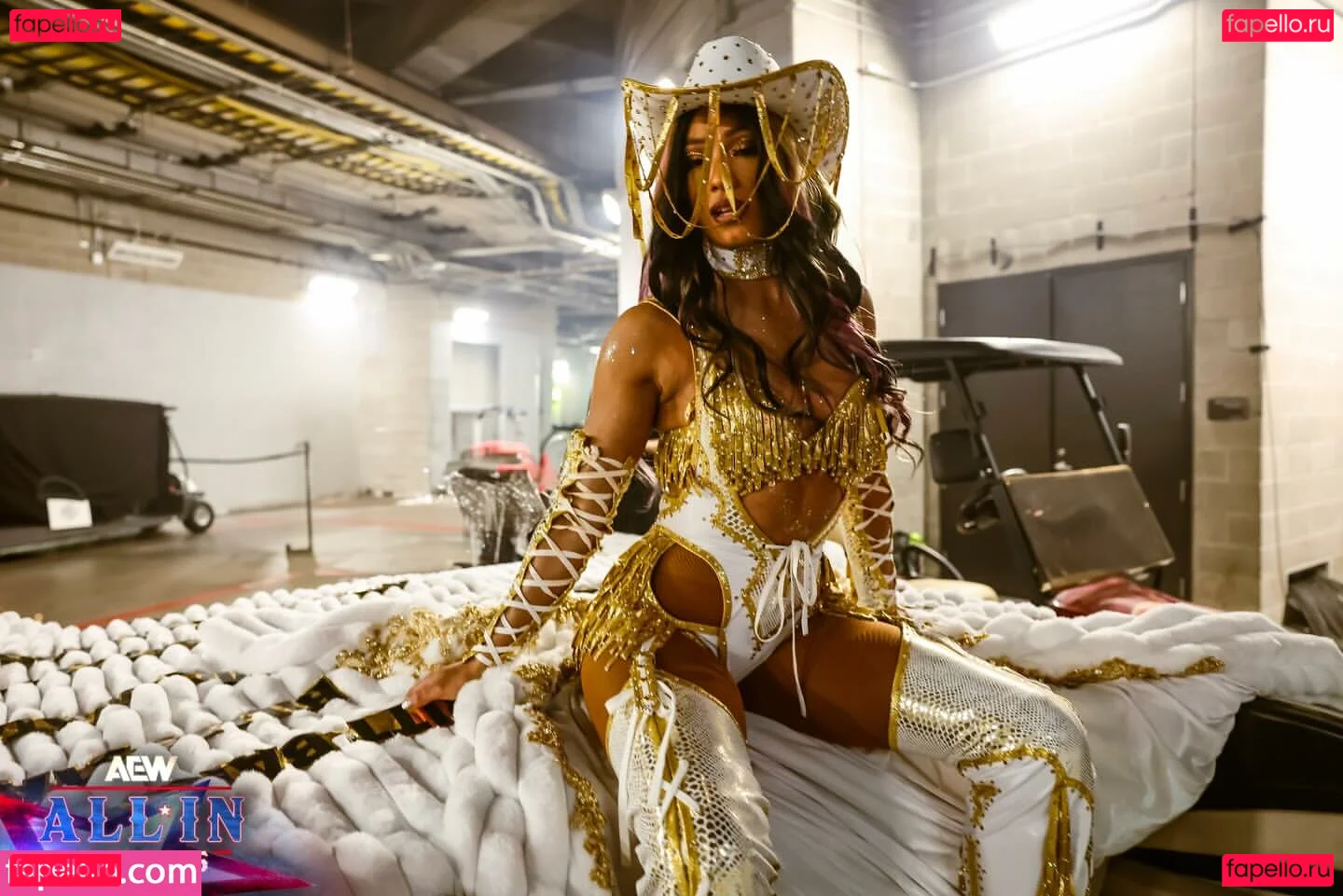 Sasha Banks Onlyfans Photo Gallery 