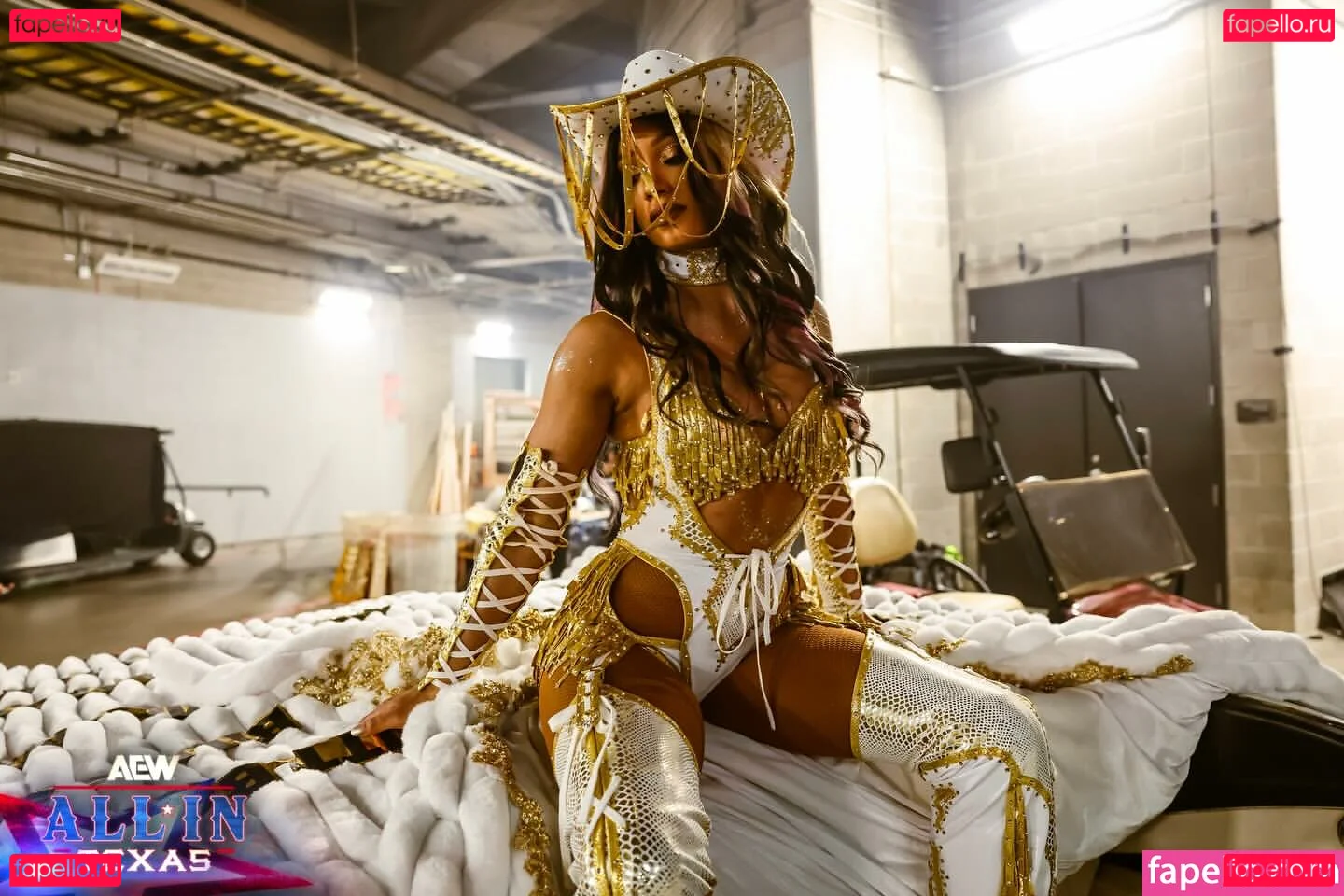 Sasha Banks Onlyfans Photo Gallery 