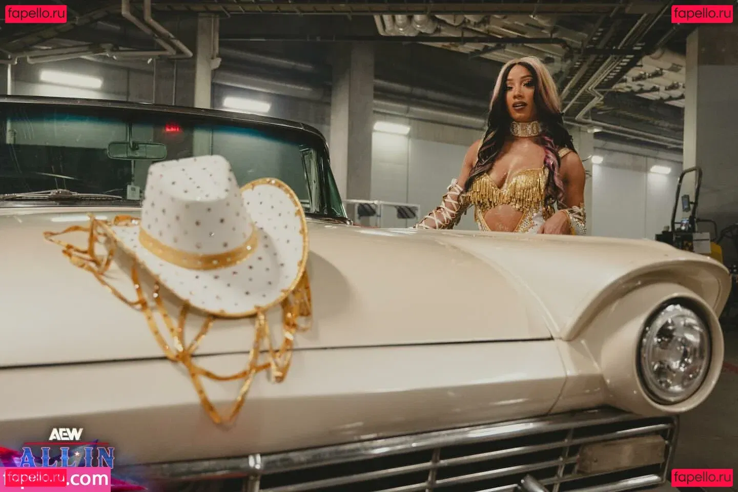 Sasha Banks Onlyfans Photo Gallery 