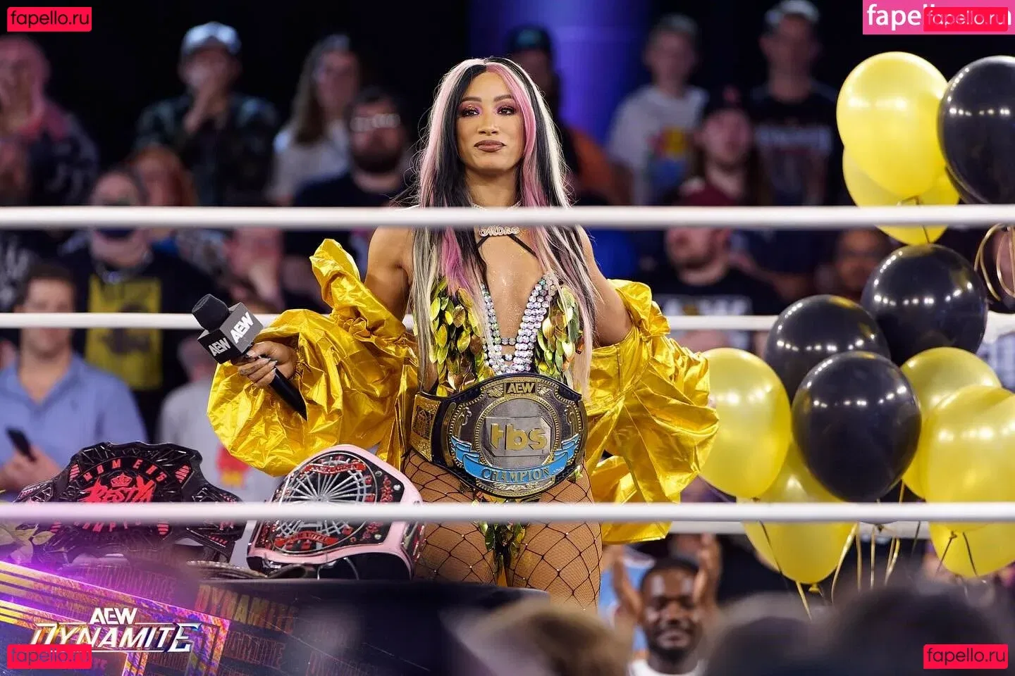 Sasha Banks Onlyfans Photo Gallery 