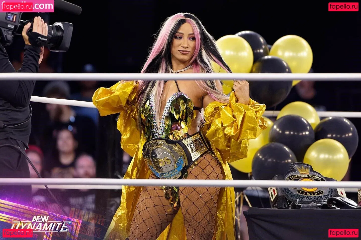 Sasha Banks Onlyfans Photo Gallery 