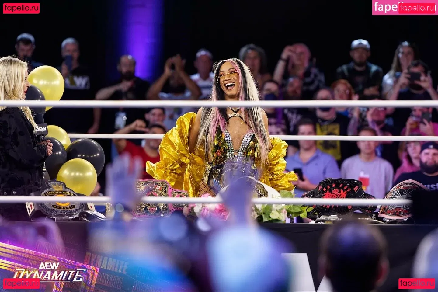 Sasha Banks Onlyfans Photo Gallery 